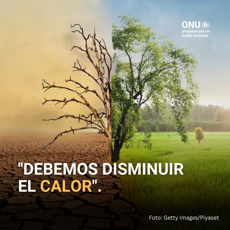 unep_espanol's tweet photo. "El cambio climático está lanzando sus golpes más duros a las comunidades vulnerables que tienen menos responsabilidad".

@andersen_inger subraya que es fundamental reducir las emisiones de gases de efecto invernadero ya y ayudar a los más vulnerables a adaptarse.

#ActúaAhora ♻️