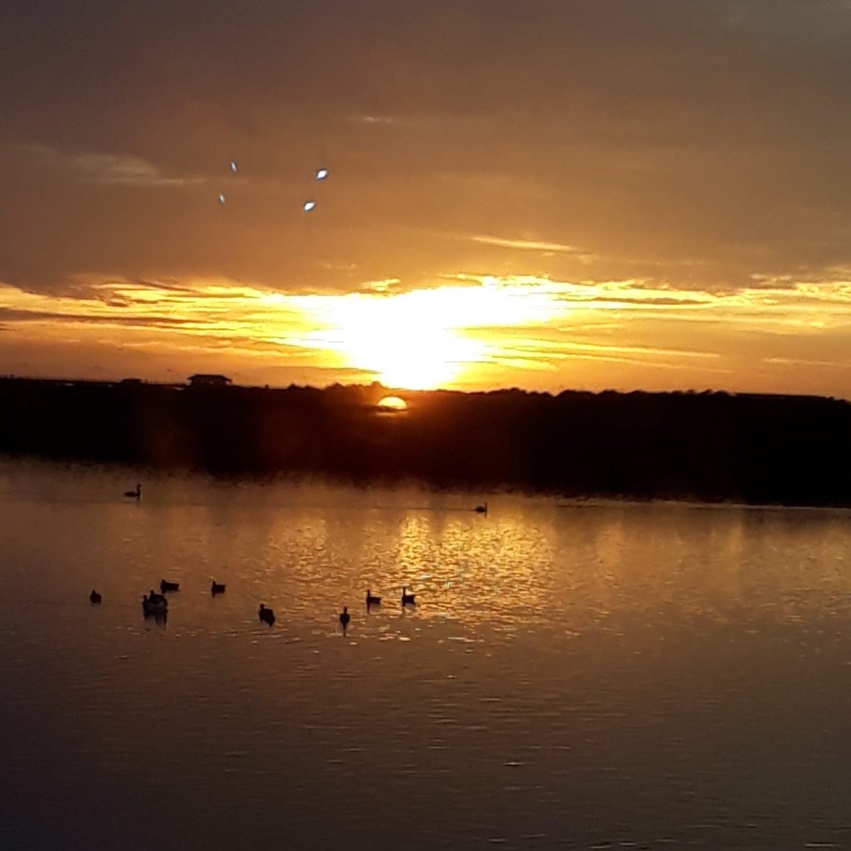 RevitaliseNow's tweet photo. Happy Friday, everyone!

Please enjoy these gorgeous pictures of the sun setting over the Marine Lake, shared by our lovely guest Carole.

#InclusiveBreak #Accessible #RespiteBreak https://t.co/dmPWUVToqv
