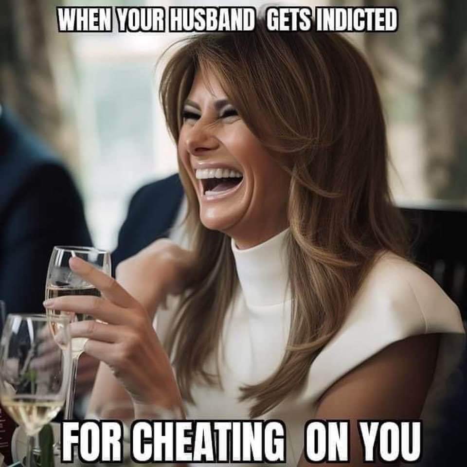 phemale61's tweet image. #DonaldTrump #SerialCheater #TrumpIndicted #RuleOfLaw