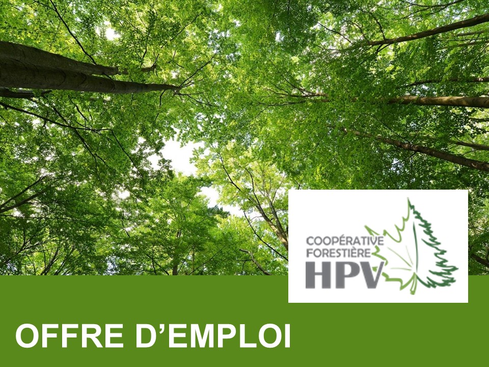 Technicien forestier | La Coopérative forestière Haut Plan Vert, à Lac-des-Aigles dans la région du Bas-St-Laurent, recherche des candidatures. Pour postuler : bit.ly/3zja4vc 
#technicien #forestier #foresterie #aménagement #emploi #job #coop