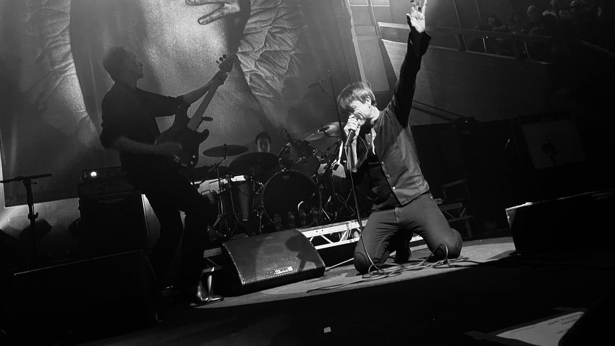 Suede HQ tweet media