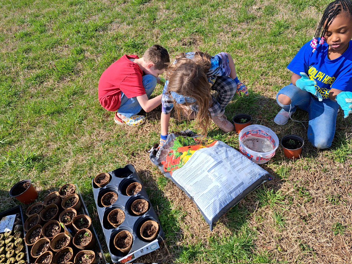 DegeorgeAnnette's tweet photo. RHESS Garden Club at work, transplanting herbs, which are growing in our green house. #BuzzWorthy @howellprincipal  @dramaact1 @howell_stem https://t.co/DmDznpTsPo