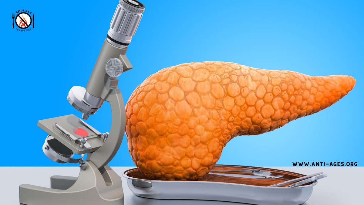 Excessive accumulation of Advanced Glycation End Products (AGEs) in the liver has been linked to oxidative stress, inflammation, and the development of liver diseases such as non-alcoholic fatty liver disease (NAFLD) and liver fibrosis. #AGEs #liverhealth #NAFLD