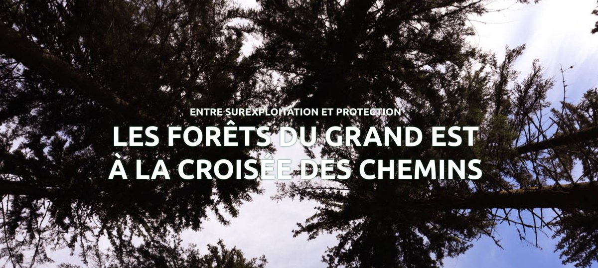La forêt ça vous branche ? Nous aussi 🧐 Venez lire l'enquête des étudiant·es de presse écrite du CUEJ sur les forêts du Grand Est !

👉 cuej.info/mini-sites/mar…