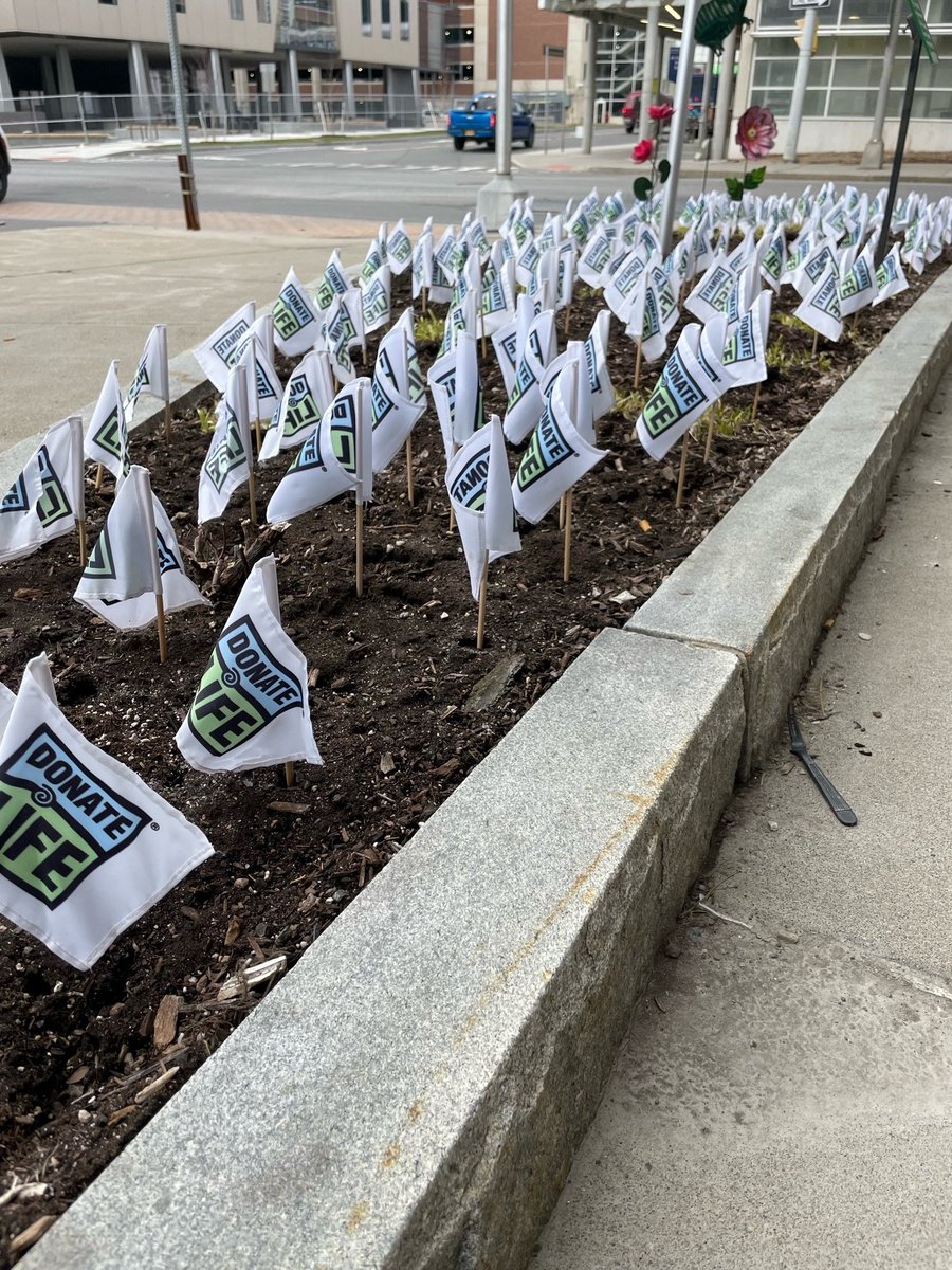 Upstate University Hospital hosted this beautiful tribute to organ, eye & tissue donors in advance of #DonateLifeMonth. The 161 flags honor each donor who passed life on through deceased or living donation at Upstate in '22. Thank you donor heroes & their families. @UpstateNews