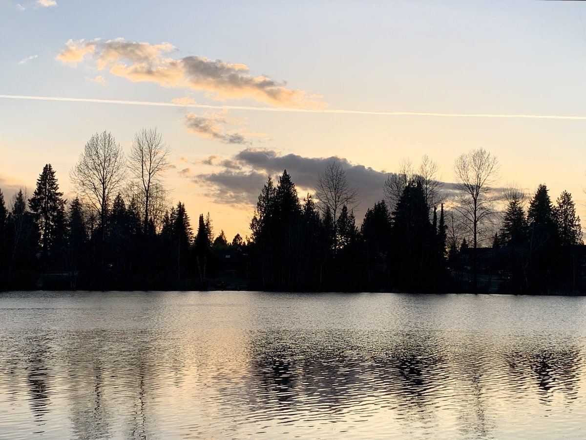 sunilvancouver's tweet photo. Beautiful sunset colours at Como Lake Park @cityofcoquitlam #comolake #sunset @CityNewsVAN https://t.co/XzZIH1M2XO