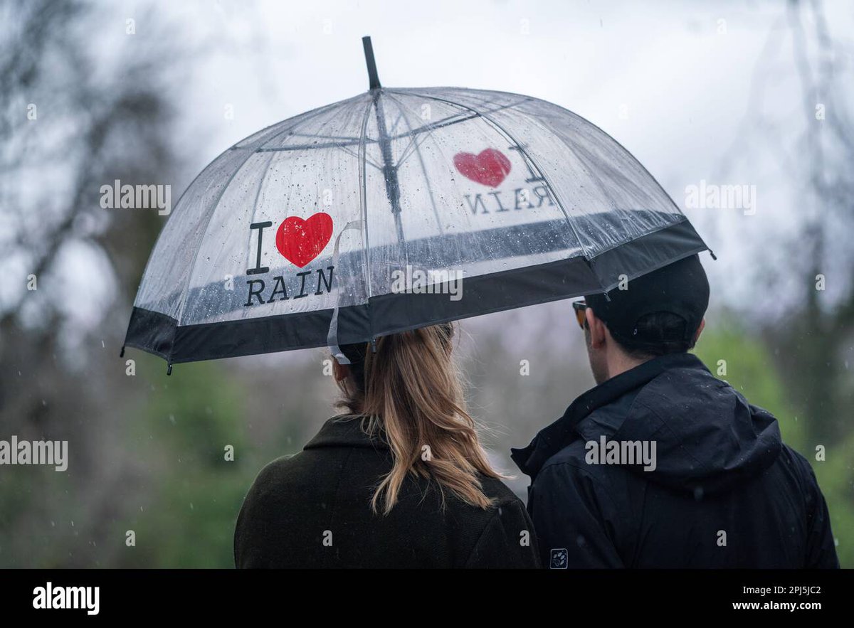 stretchwomble's tweet photo. Weather for Ducks ! A few shots today in London as Storm Mathis brings hits parts of Britain with high winds and rain @Alamy_Editorial @alamy #StormMathis
https://t.co/APQ1X8dfXT https://t.co/ZMhlmQObCg