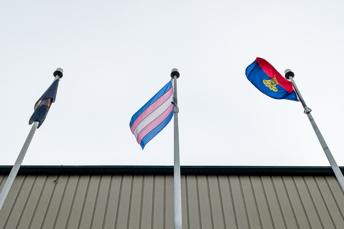We see you. Transgender lives matter.
 
#3Div reaffirms its commitment to ensuring that every member of our team feels safe and supported, &amp; honours the experiences, struggles, &amp; achievements of Transgender Defence Team members.
 
#TransRightsAreHumanRights #TransDayofVisability