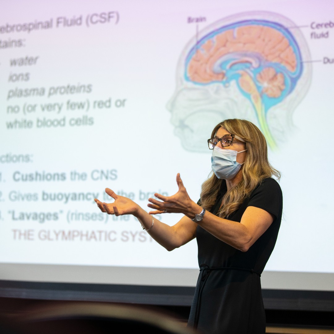 Brown Pre-College tweet media