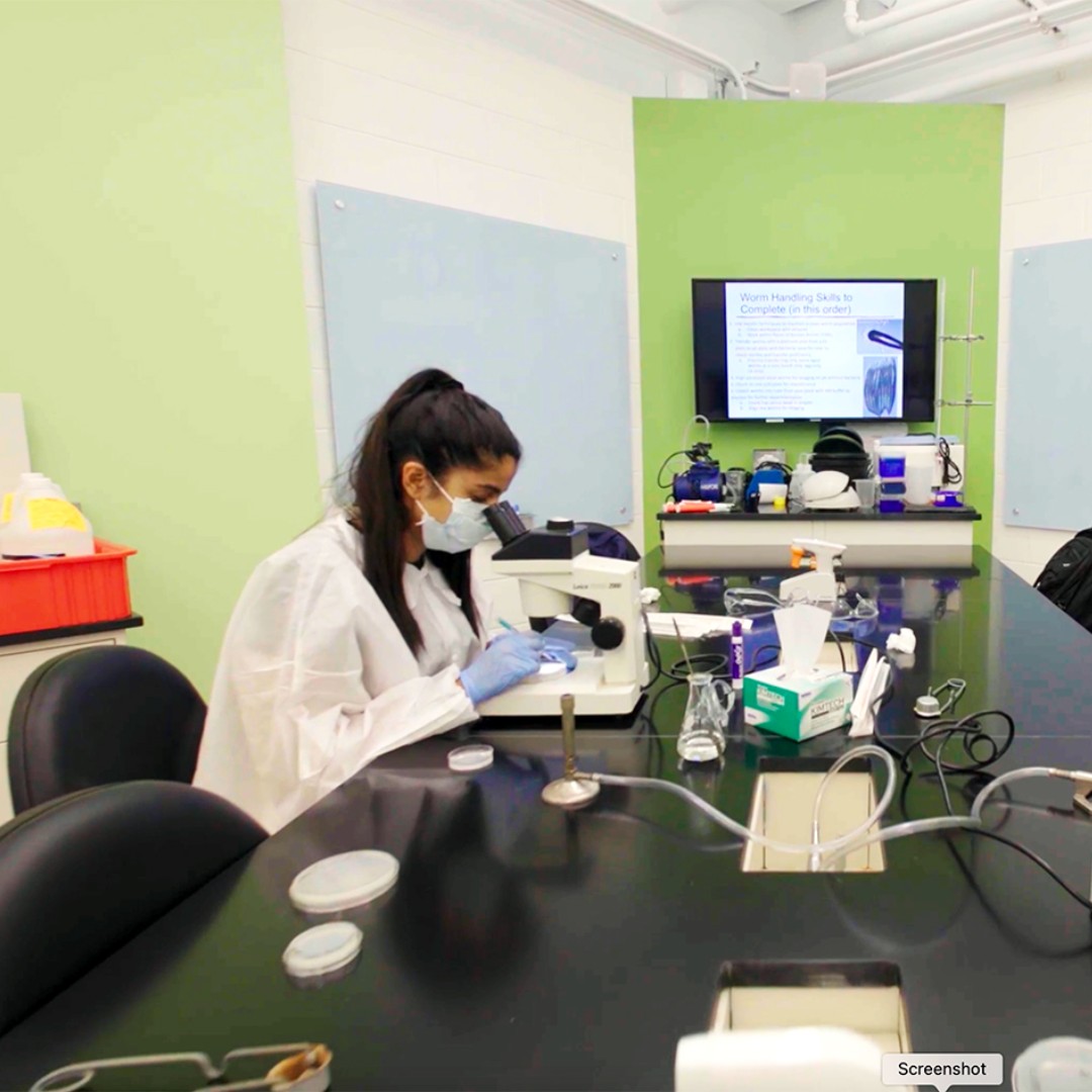 Brown Pre-College tweet media