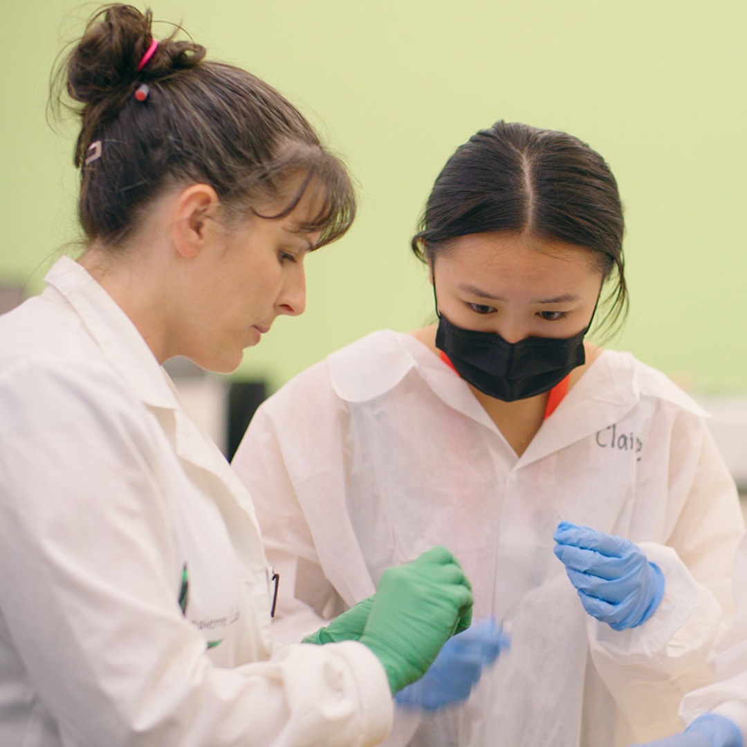 Brown Pre-College tweet media