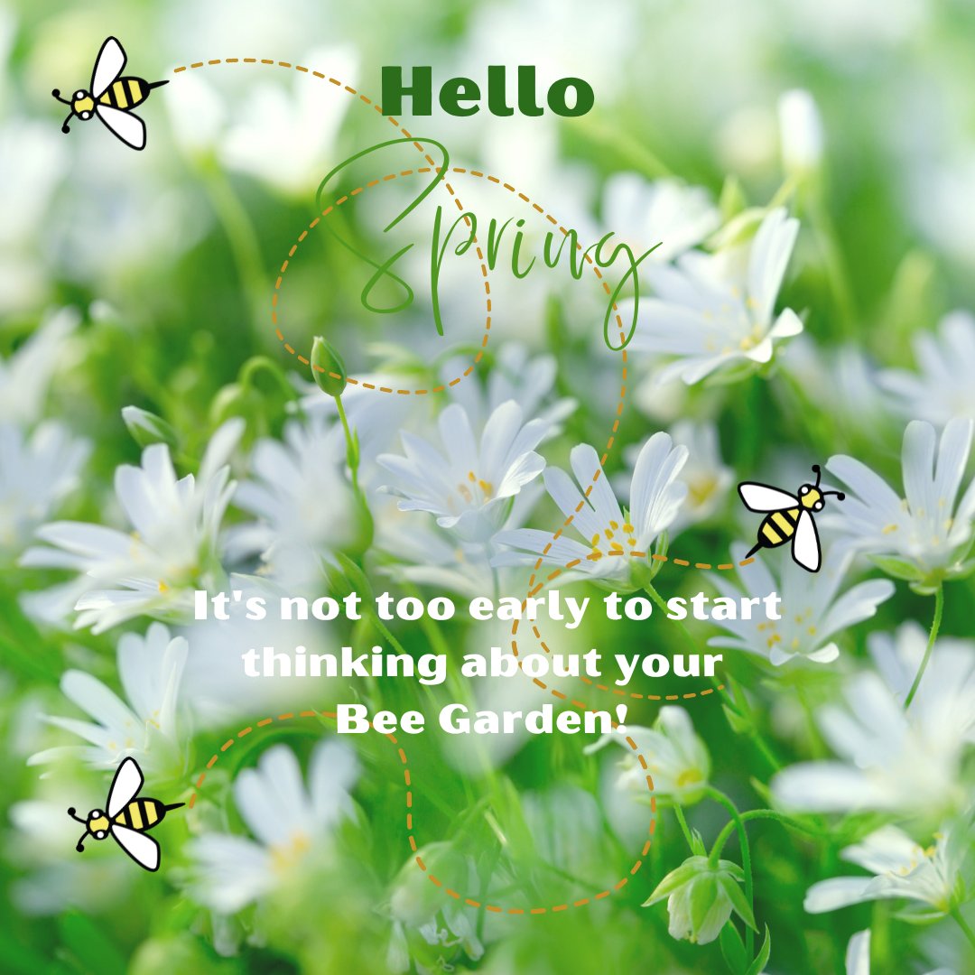 BeessentialBDCR's tweet photo. Spring is here, and so are the bees!๐ Plant a bee-friendly garden; your vegetables and flowers will thank you!
#beefriendlygarden #pollinatorgarden #savethebees #backyardbeekeeping #beelovers #beekeepers #beekeeping #beessential #beessentialbdcr #gettoknowbeesential https://t.co/i50Us0Ut3S