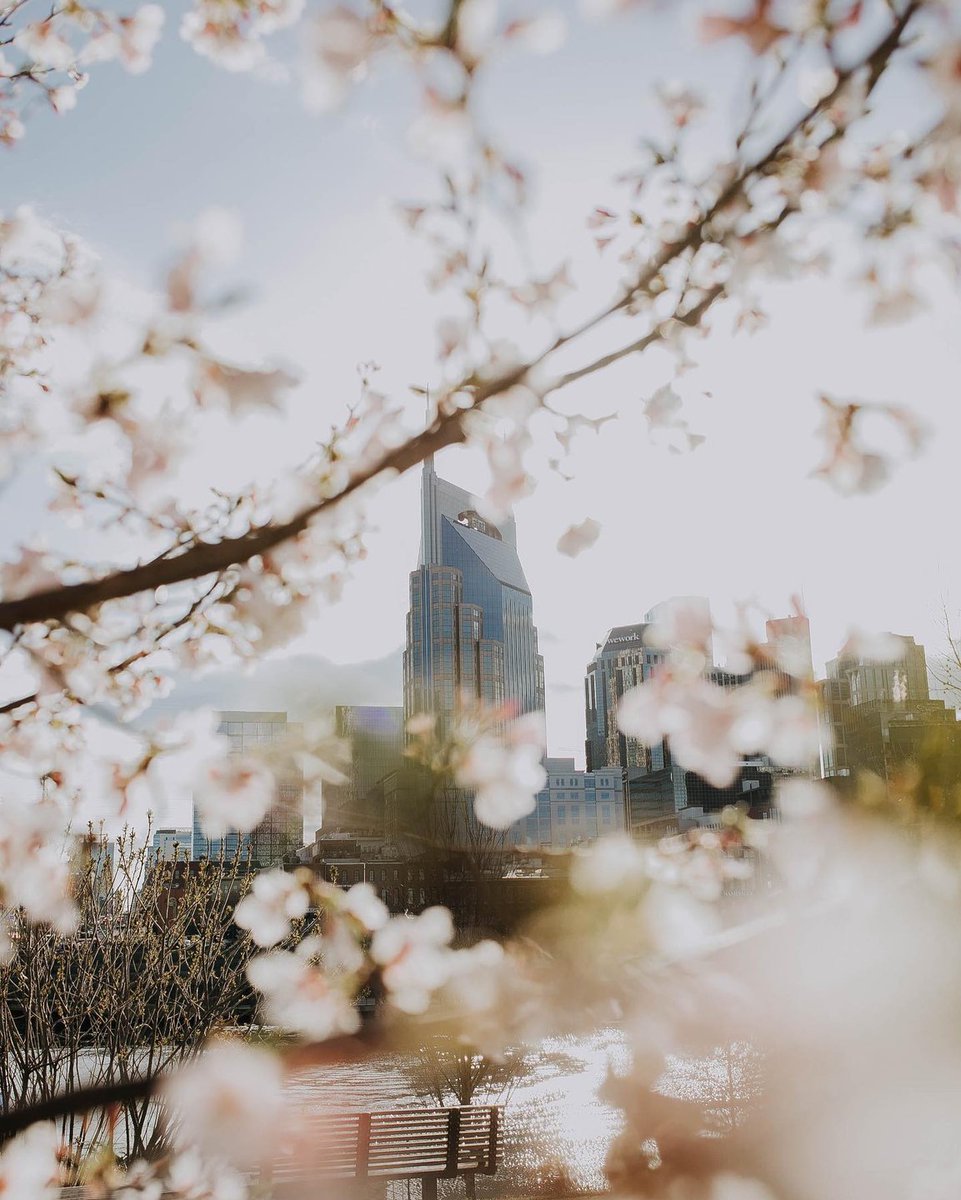 visitmusiccity's tweet image. As we move forward with programming that promotes Nashville, our hearts are grieving. A full list of ways to help those affected can be found here. 
nashtoday.6amcity.com/ways-help-thos…
📸: IG @ bailey_griswold