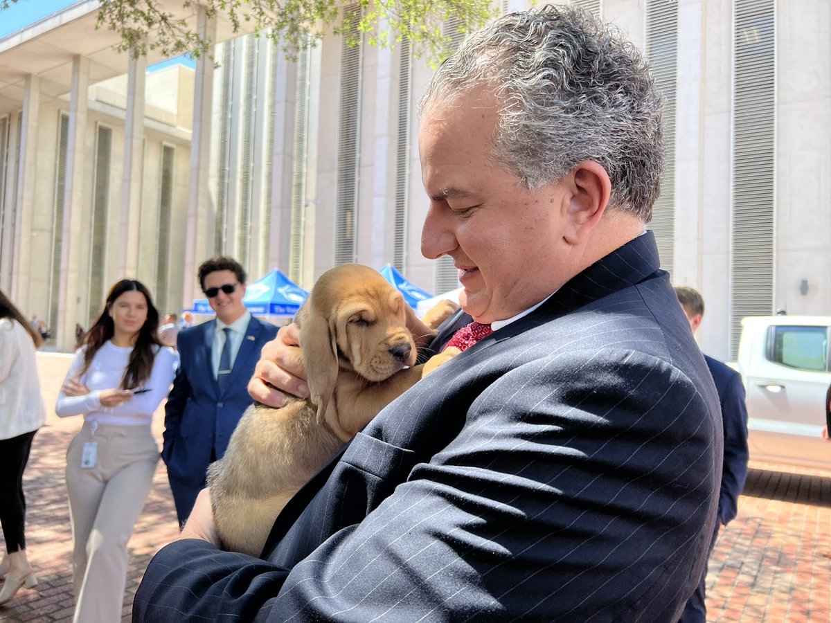 JimmyPatronis's tweet photo. The dog days of session aren’t that bad! Thanks to @FL_Corrections for bringing these sweet pups by the Capitol. #FlaPol https://t.co/pC5eyg8w9a
