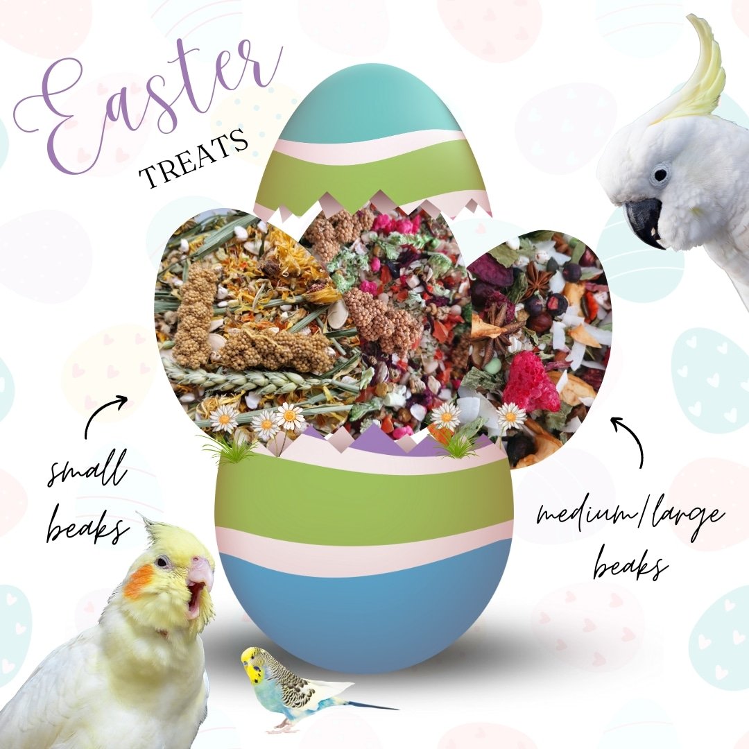 Pollysnaturalp1's tweet photo. Place your order today to get your bird's treats delivered in time for Easter! We will be closed for the bank holiday while Polly's team and flock enjoy a long weekend. To ensure your order arrives in time, make sure you checkout by the end of the day on Monday 3rd April. https://t.co/L7o3ZsxyLl