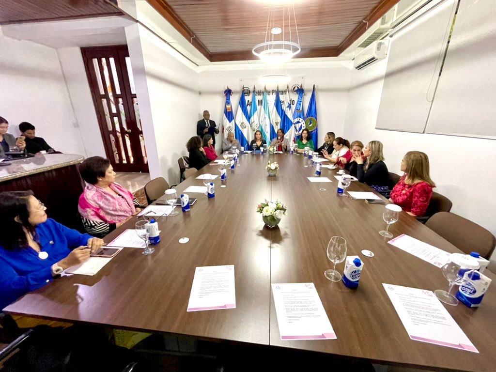 MarthaPrez5's tweet photo. Ayer, presente y vía zoom. Bloque de Mujeres Parlamentarias @PARLACEN presidido por @XIOMARAGUANTE en conferencia de la Ministra de la Mujer @MayrajimenezTFJ sobre avances de la #PRIEGSICA, retos y perspectivas, todas aunando esfuerzos por las mujeres de la región y del mundo. https://t.co/VLREC6PRcp