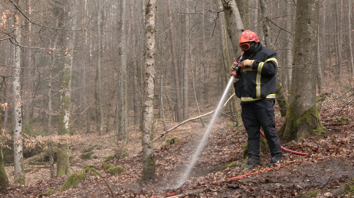 moselle_tv's tweet image. Plus de 100 #sapeurs-#pompiers et 25 engins étaient mobilisés ce vendredi sur le territoire de #Bitche pour un exercice grandeur nature sur le thème des #feux de #forêts. Reportage à venir sur Moselle TV. ⏳