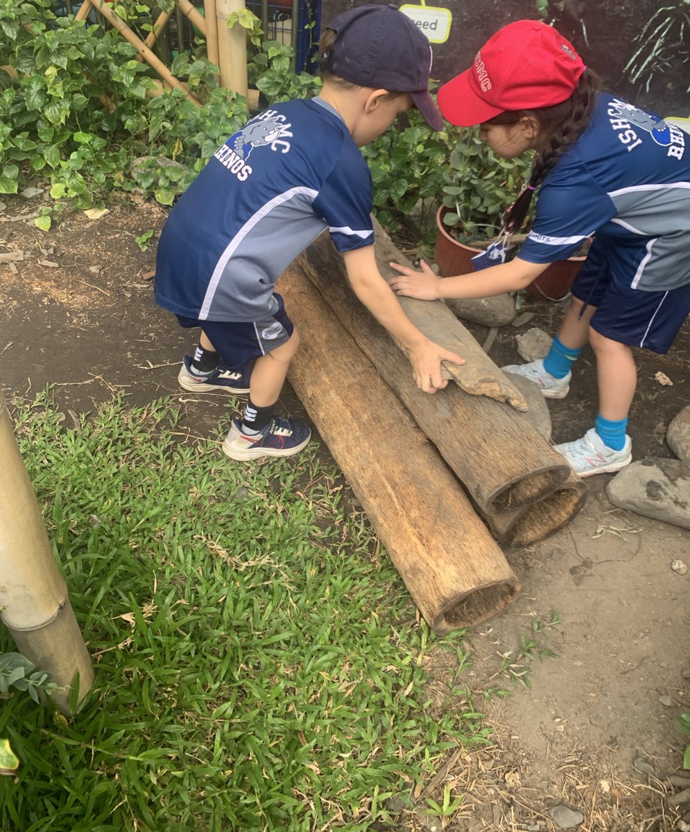My heart was full today. Kg are inquiring into living things and their habitats. Someone brought their animal friend to school and at recess they were excited to show me what they were building.  #childled #collaboration #sharingtheplanet #inquiry <a href="/HalimaBond/">Halima Bond</a> <a href="/JadeWhittock/">Jade Lee Whittock</a>