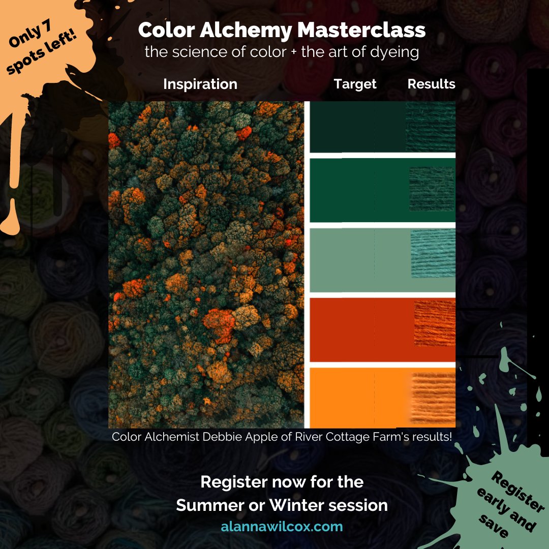 🌈 Today is the last day to register and save $25 for the Summer session of my Alchemy Masterclass! 

Learn color theory, dyeing techniques, and how to keep excellent records for repeatability and consistency.

 Limited spots available, DM me to register! 
#dyedyarn #handdyedyarn