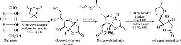 J Org Chem/Org Lett tweet media