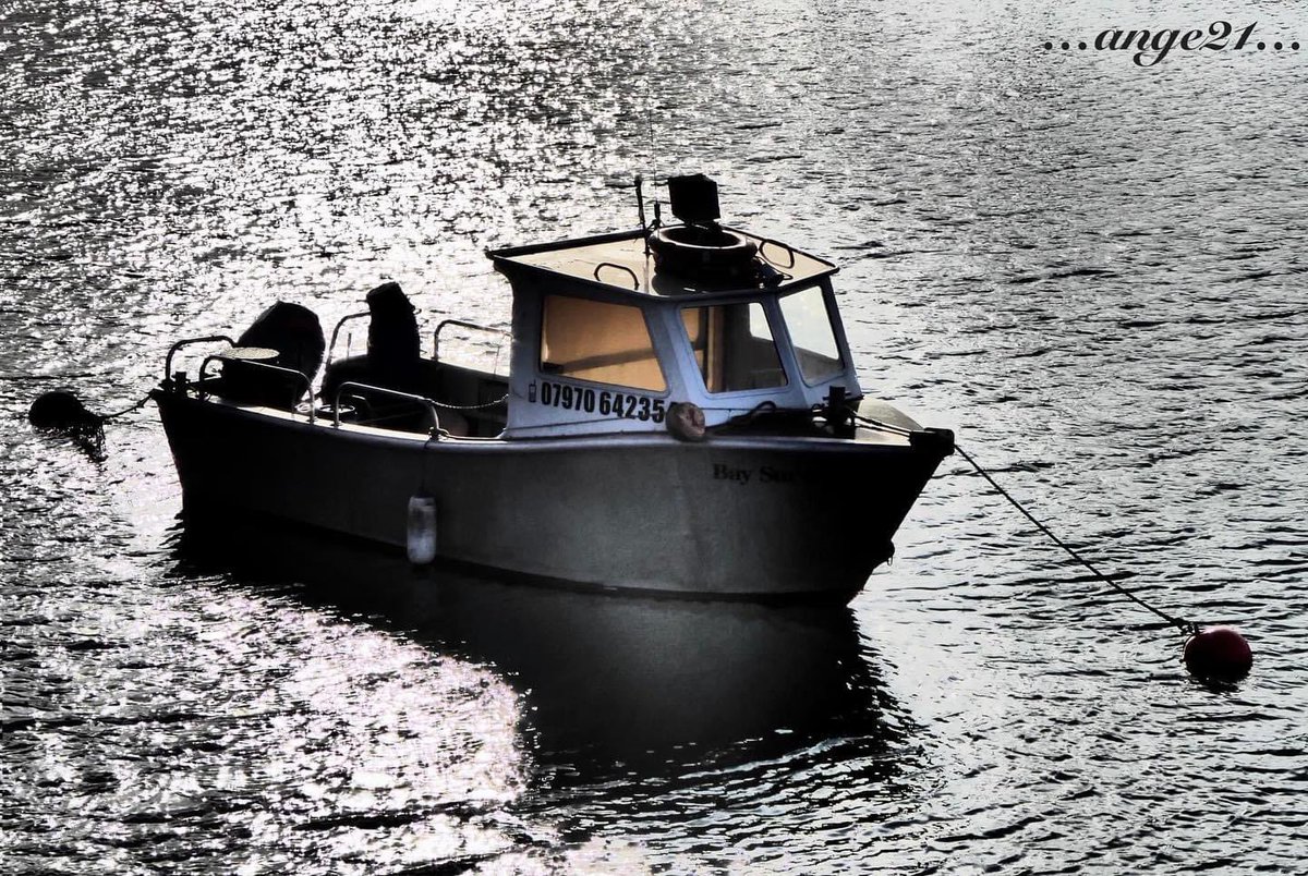 Photo of the day…..
A splash of colour‼️
#splashofcolor #silhouette #brixhamharbour #boat #blackandwhitephotography #plymouthphotographer #fishingboat #reflection #brixham #torbay 
@VisitBrixham @EnglishRiviera @ade_pl1 

ange21.picfair.com/pics/016927235…