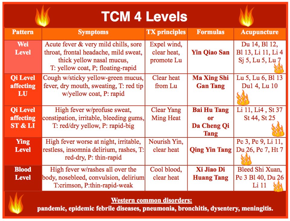 AcuProAcademy's tweet photo. The 4 Levels in TCM 🔥
External pathogens wind-heat can invade the body through the mouth and nose affecting the 4 levels. 

Want more? Check out the TCM treatment for LUNG Disorders PDF: https://t.co/TypgTi87h1 

#acupuncture #acupuncturerocks #tcmstudent #tcmstudyguide https://t.co/UY1pFFaVVH