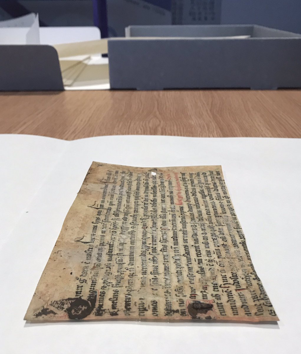 Andreamanx's tweet image. Another great workshop by @nkivilcimyavuz on Ripon Fragments. This time we have explored the potential of Multispectral Imaging (MSI) in #fragmentology with @michabt @RBTothAssociate @TonyFourtoes @LULGalleries #LeedsDigitalExplorations saga continues.