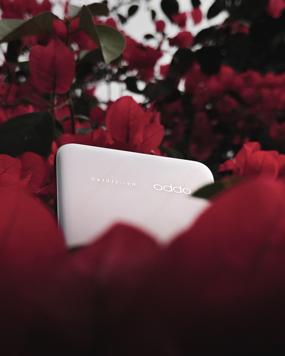 Hello, Everyone 
I am super excited to announce that I’m part of #OPPOAmbassadors #OPPOFindN2Flip