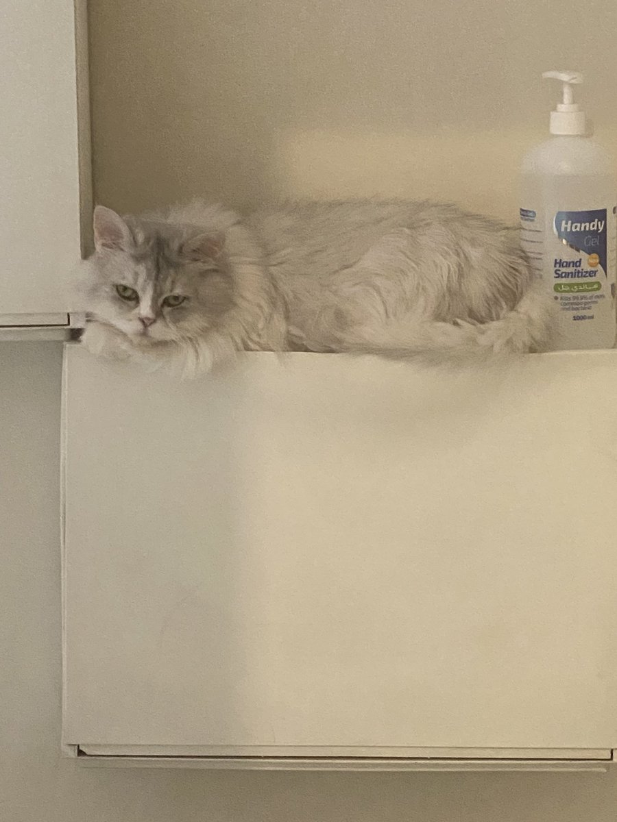 مكان روزي المفضل فوق الجزامه 🤣🤣