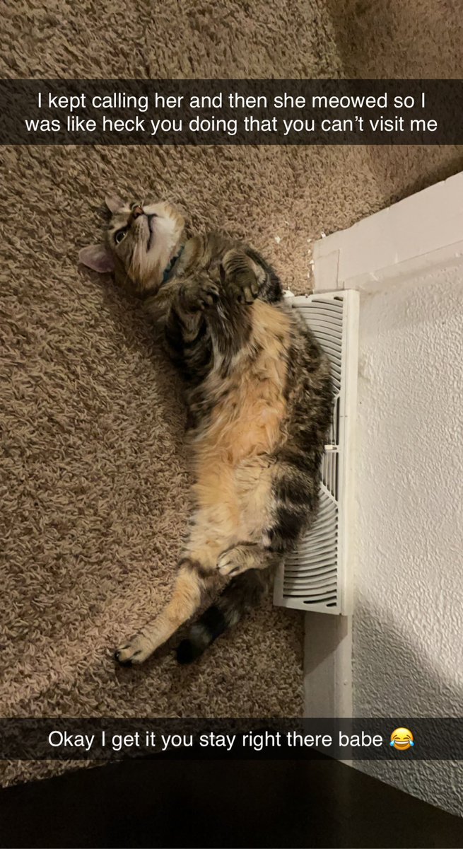 animatedhello's tweet photo. Me: “What do you do when I’m gone?”
Cleopatra: “Wait for you to come back.”
🥹😻🥰
#selfie #carselfie #waiting #warm #kitty #fluffy #belly #cat #sweetgirl #pretty #heatherdunham #blonde #tesla #memereference #spongebob https://t.co/LV2ZkCoPW2