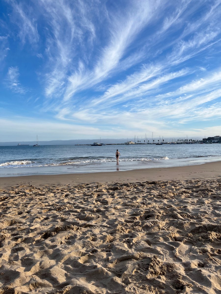 didumdida's tweet image. Einmal mit dem Zug quer durch Europa, um im März im portugiesischen Atlantik zu schwimmen. Und dann wieder mit dem Zug zurück.