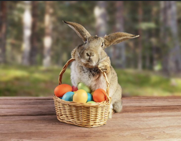 Wishing you all a lovely half term break and a happy Easter from everyone at SYSBL