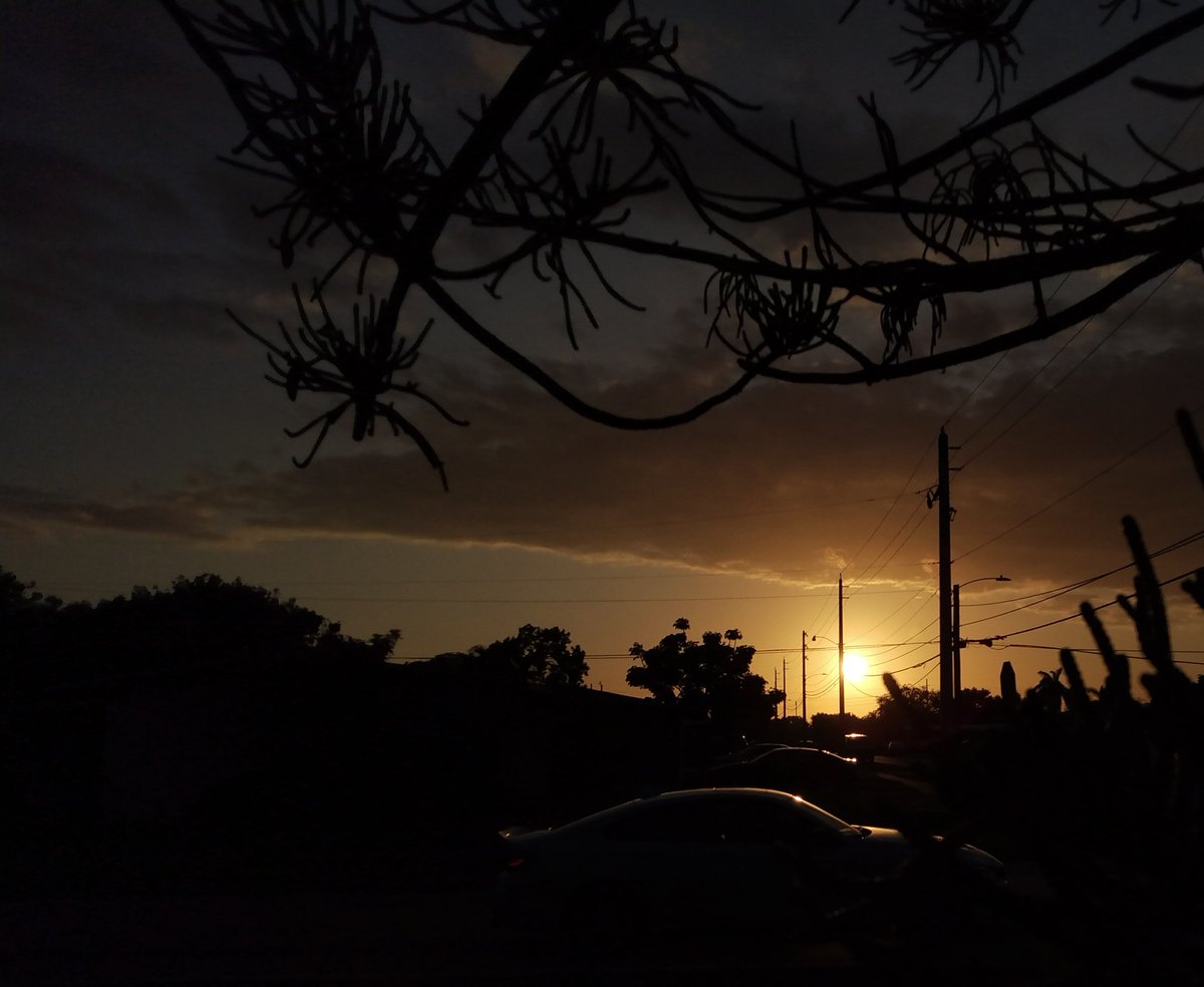 JorgeGNYCMIA's tweet photo. #Miami #Sky #Sunset #Clouds #Palmtrees #Pinetreebranches #photo #photodaily #phototoday #photoofthedaye #photogram #photograph #photographer #photography #photooftheweek #photos #photosession #photoshot #photostudio #skyphotography #sunrays #sunflares #lensflare #SunsetEvening https://t.co/ppnHKgKZsq