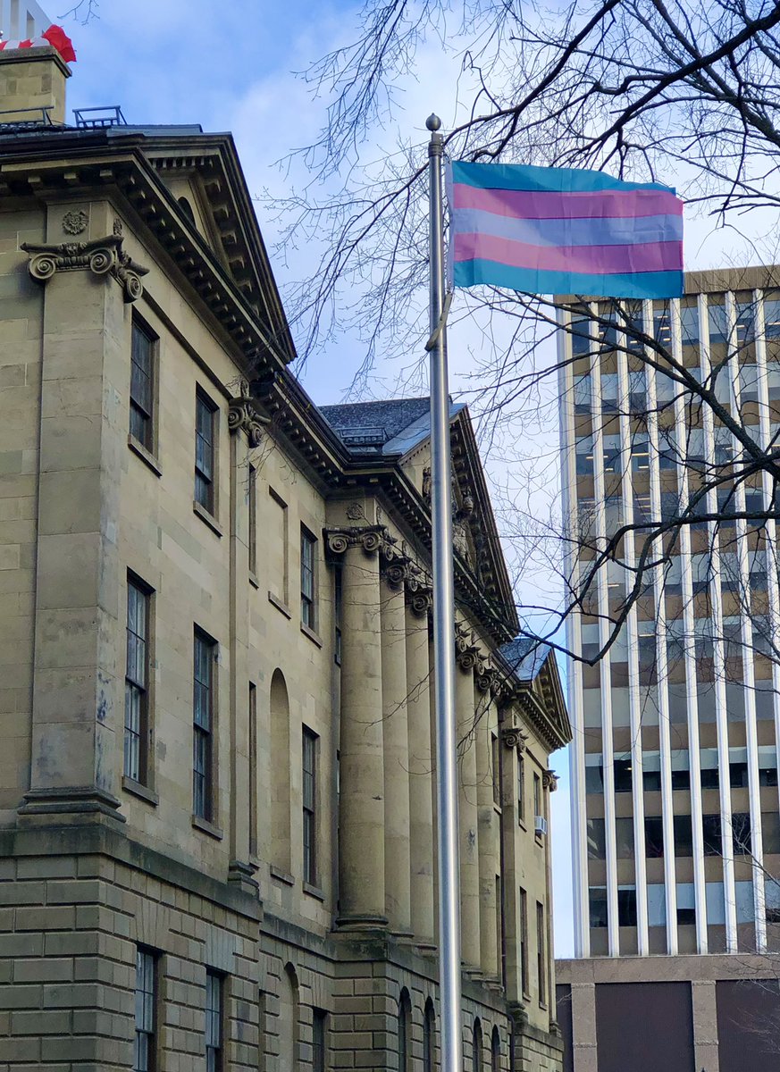 The Transgender Pride Flag was raised this morning at Province House in recognition of the International Transgender Day of Visibility. 

The building will be illuminated in blue, pink, and white this evening. 🏳️‍⚧️
 
#TransDayOfVisibility #TDOV2023