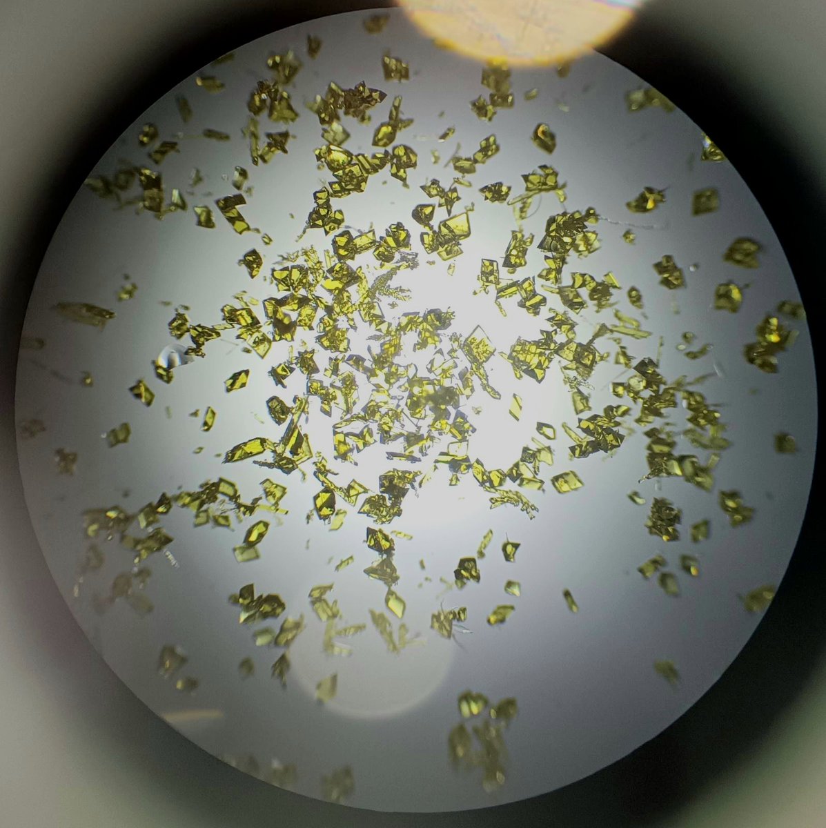 bioeco_2022's tweet photo. Working hard on new molecules!
Wonderful green crystals of a bioproduct complexed with platinum.
#BioECOLogics #fondzanauku #programIDEJE #dissemination #biotechnology #biochemistry
#ecology #greenscience #fermentation #wastemanagement #recycling #bacteria
#biocatalysis https://t.co/05zVgwK4pT
