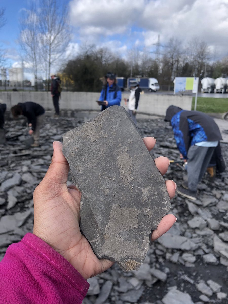 Sinjini Sinha, Ph.D. (She/her) tweet media