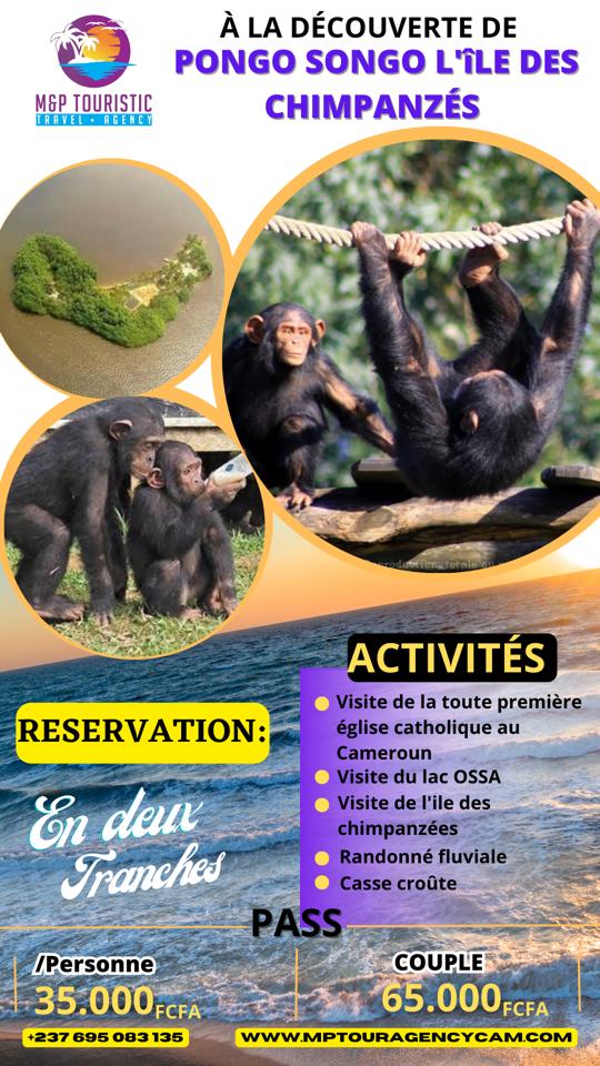 MPTRAVELERS's tweet photo. #tourisme 
#Voyage https://t.co/y0pajWo6La