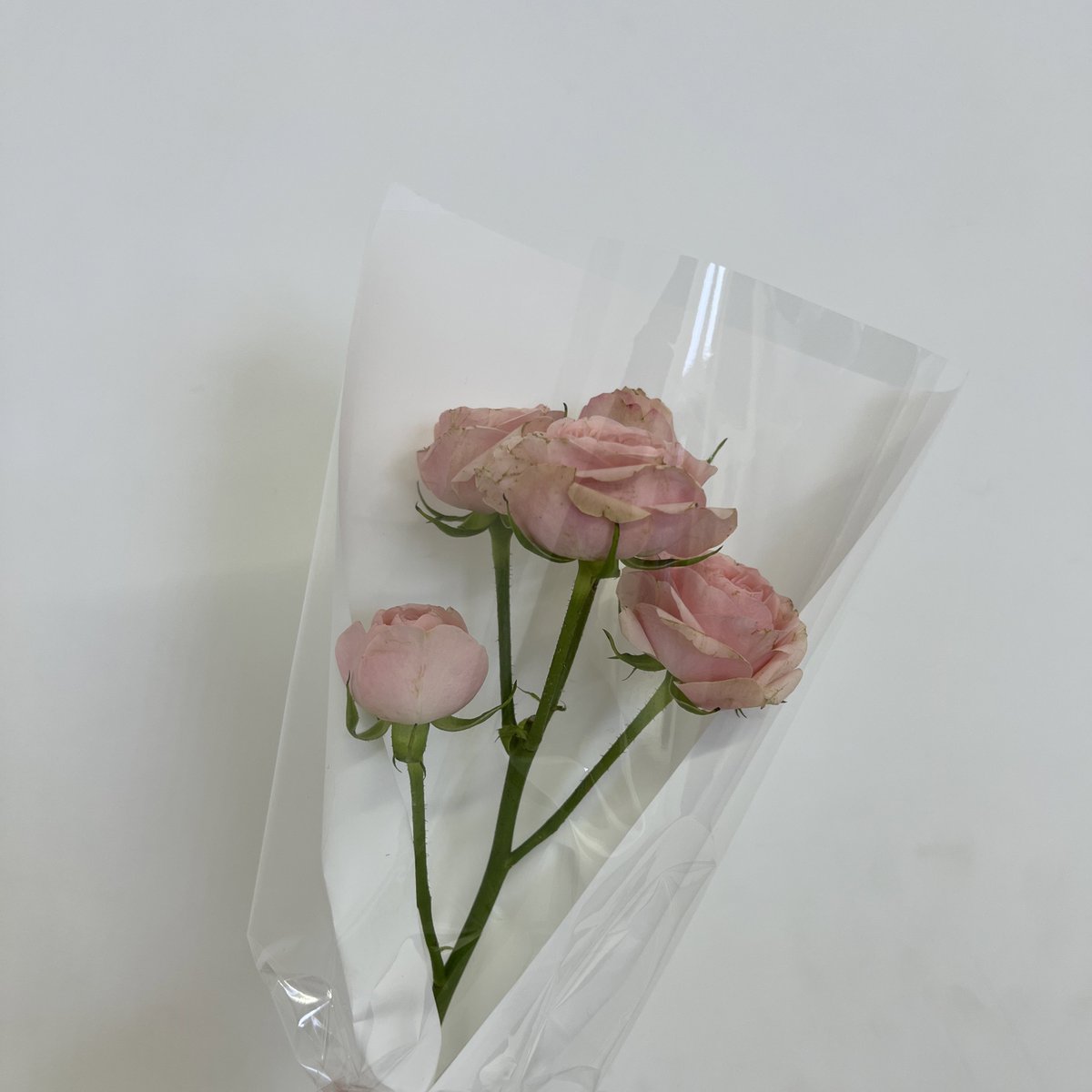 미노를 향한 마음들이 가득해서 즐거웠던 공간💐🤍
너무예뿌다요🥹 최고최고💕
<a href="/China_minobar/">CHINA MINO BAR</a> 항상 감사합니다 미노쨩과함께 행복세게합쉬다😍🫶
#Be_My_Oxygen 
#송민호_오래도록_기억할게