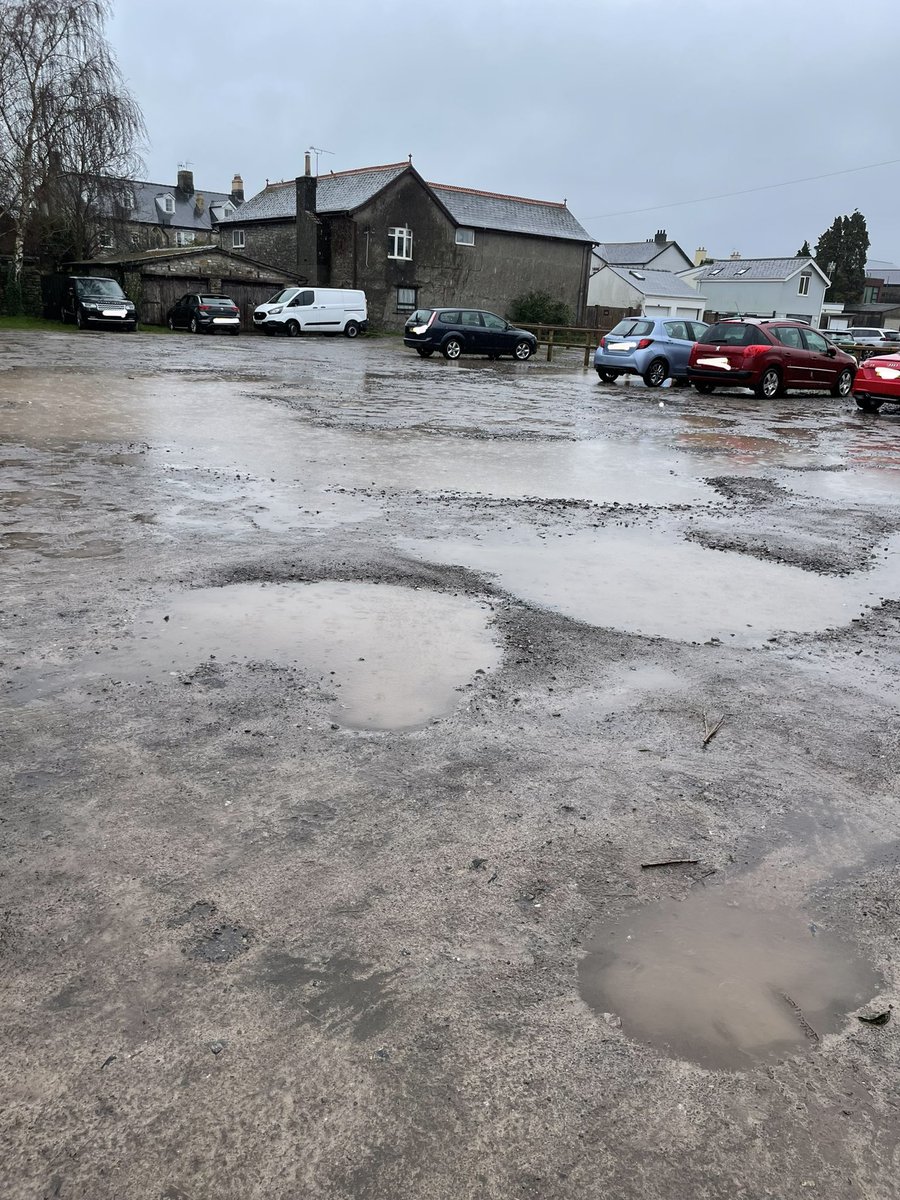 Kate Whitestone tweet media