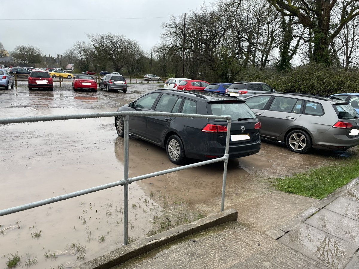 Kate Whitestone tweet media