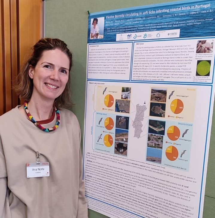 Poster presentation at ISTTBD in Weimar about seabirds, ticks and Borrelia! @MARE_centre @ECOTOP_UC @DCV_UC