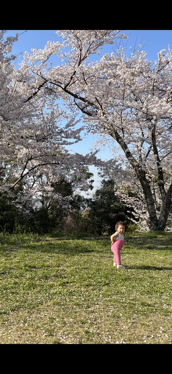 mm_ayano's tweet photo. #ジワ https://t.co/daB6vWDzWN