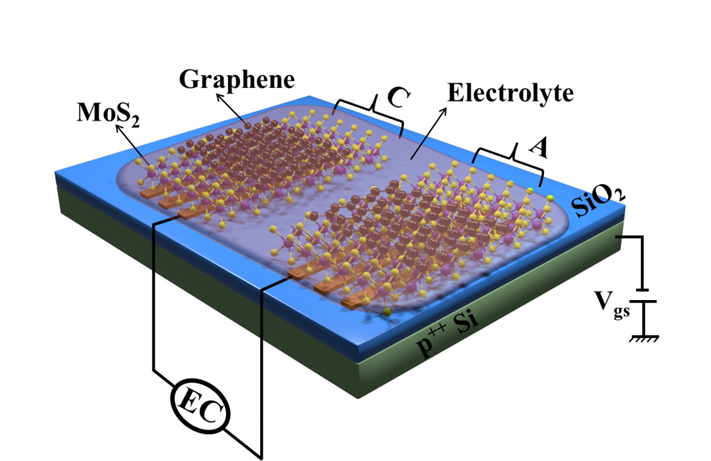 iiscbangalore's tweet photo. Researchers @IAP_IISc have designed a novel ultramicro supercapacitor, a tiny device capable of storing an enormous amount of electric charge. It has potential applications in consumer electronics, electric cars and medical devices.

https://t.co/4DF3WBjsUq 

#IIScresearch https://t.co/o0FhY9f8f1