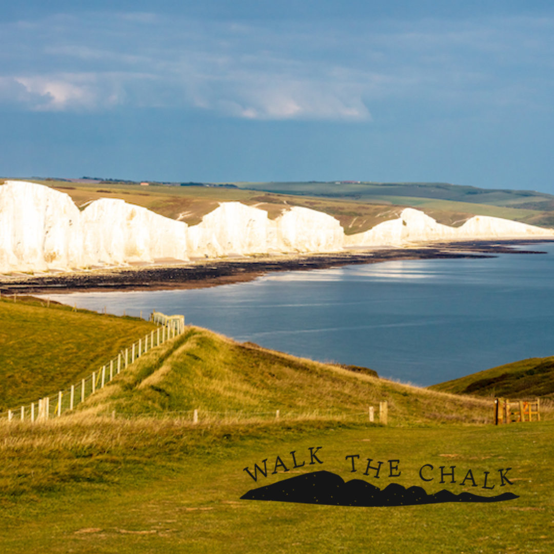 In late Sept, #WalkTheChalk will be a 5 day event, centred on South Hill Barn, Cuckmere Haven and the Seven Sisters – discovering local heritage, chalk, fossils, flora, fauna, history and folklore through art and creativity. #EnglandsCoast #CoastalPath #WalkingUK
