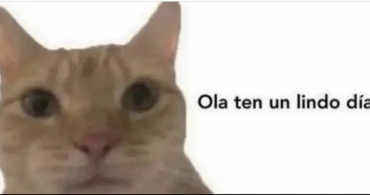 aXoZerr's tweet image. 