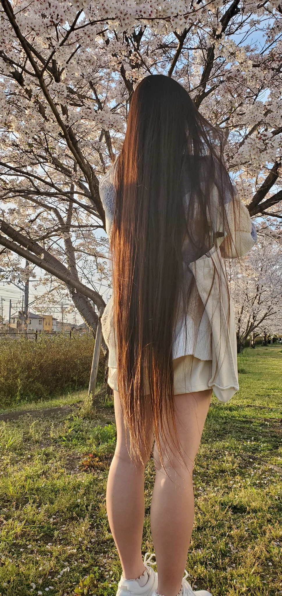 🐻だみあん🐰 on X: 