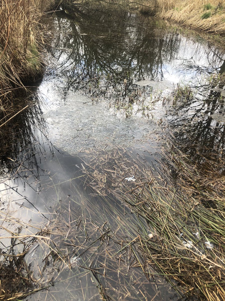 Absolutely great field trip to #EddlestonWater hearing about work of the Tweed Forum over many years exploring possibilities for Natural Flood Management. (Turns out slowing the flow is all about friction - key hot take!) @ScottishEPA @BordersGreens @ELCouncil @elcourier