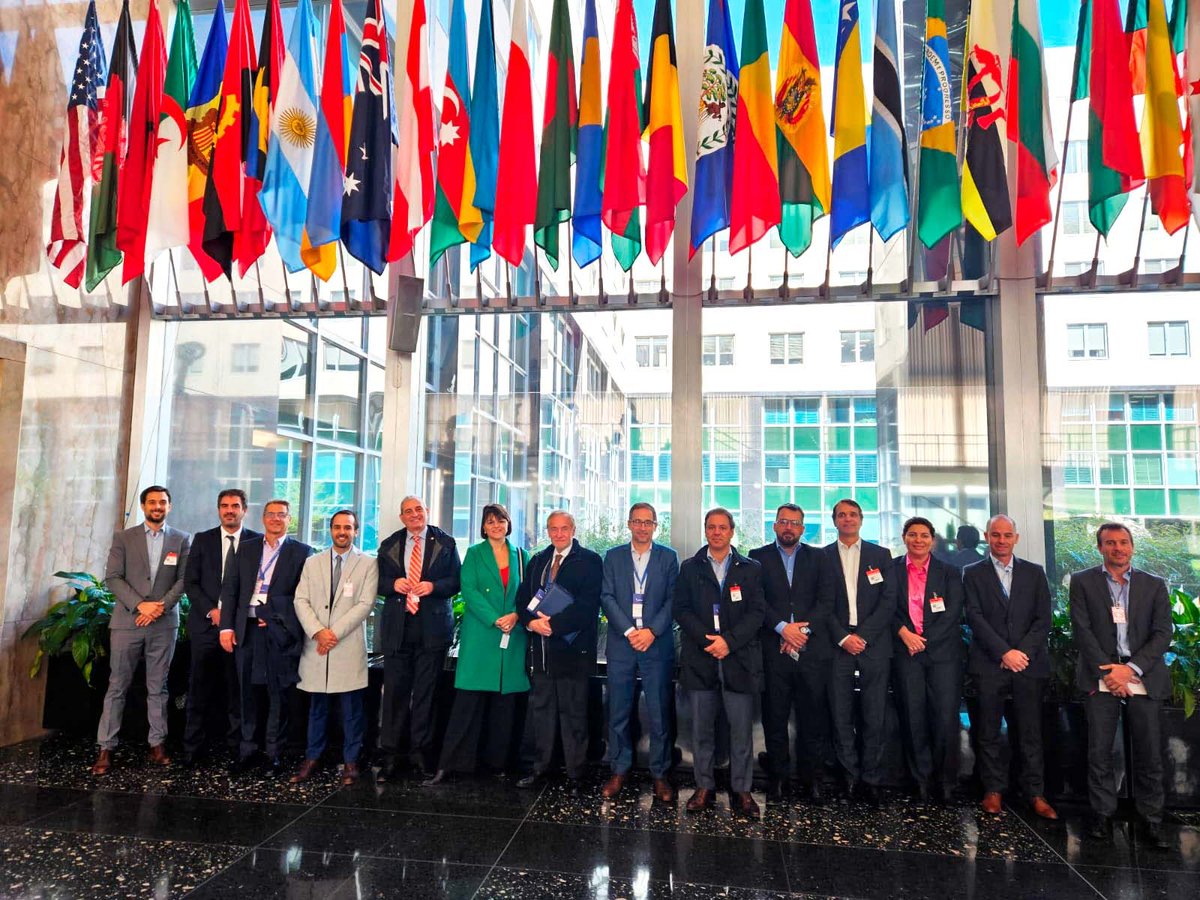 Marina Senestro tweet media