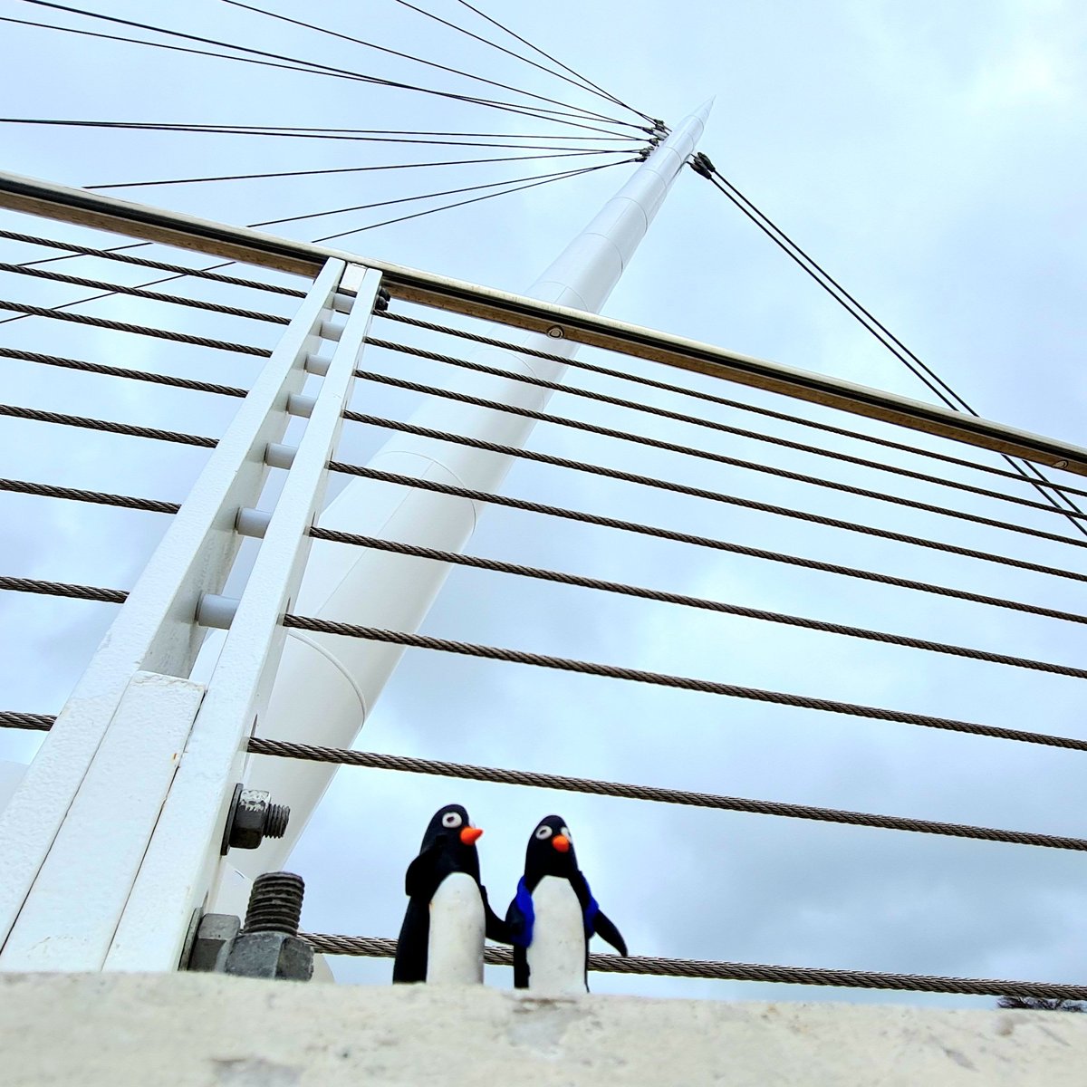 is_glasgow's tweet photo. I ran into two of the @GlasgowPenguins yesterday well away from their usual haunt on the Kelvin Walkway. Seems like they'd gone on a bit of an expedition! 

#glasgow #glasgowpenguins #stockingfieldjunction #streetart #sculpture #glasgowstreetart #scottishstreetart https://t.co/3KIA8xRrxZ