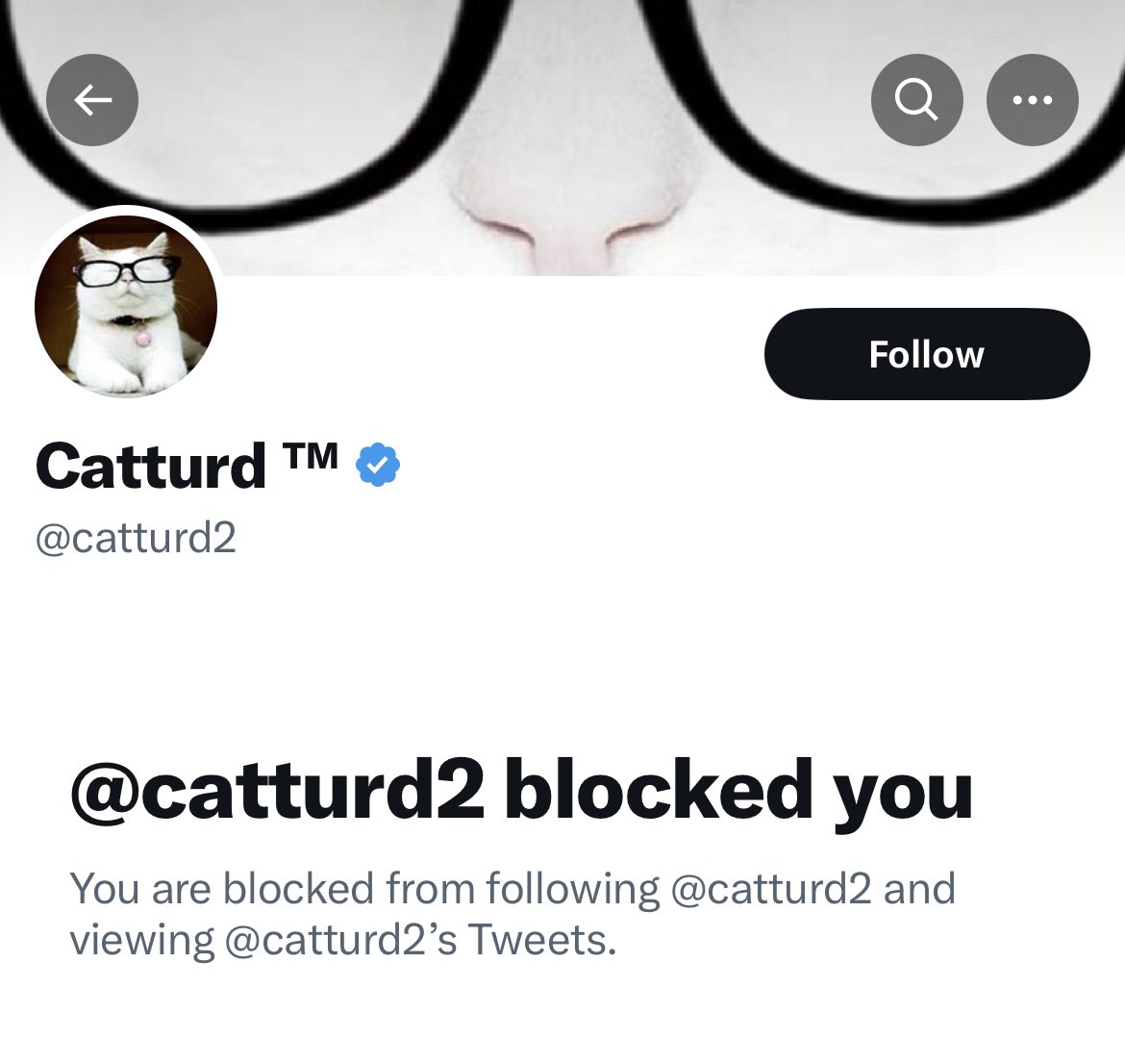 ShelbyRegister1's tweet photo. @atched_atched @Mary00088 @catturd2 @GiveMeADouble @JBMatthews @GovRonDeSantis This douche canoe set his little cat turds on me then bailed like a lil bitch 🤣 I’m going to go enjoy my day in real life since Twitter isn’t my entire identity like these fools. Happy Friday! 💕 https://t.co/tDYXaTY0Ot
